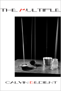 The Multiple<br></br>Calvin Bedient