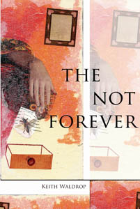 The Not Forever<br></br>Keith Waldrop