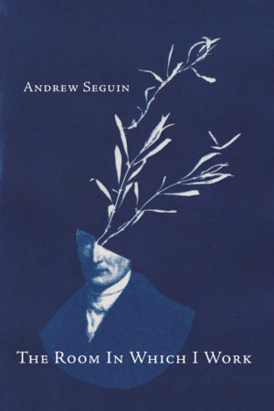 The Room In Which I Work<br></br>Andrew Seguin