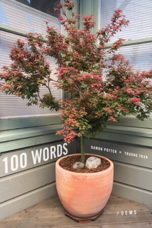 100 Words<br> <br/> Damon Potter + Truong Tran