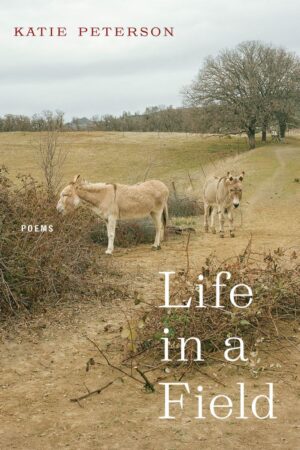 Life in a Field  <br> <br/> Katie Peterson