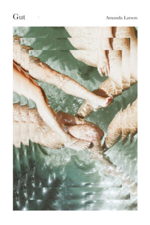 Gut <br> <br/> Amanda Larson