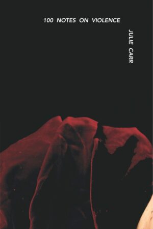 100 Notes on Violence<br> <br/> Julie Carr