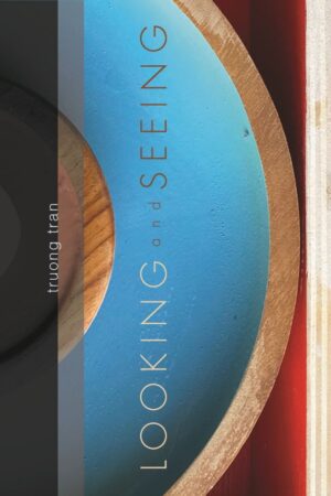 Looking and Seeing/Seeing and Looking <br> <br/>Damon Potter & Truong Tran