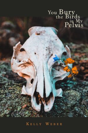You Bury the Birds In My Pelvis<br> <br/>Kelly Weber